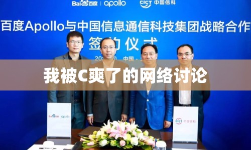我被C爽了的網(wǎng)絡(luò)討論