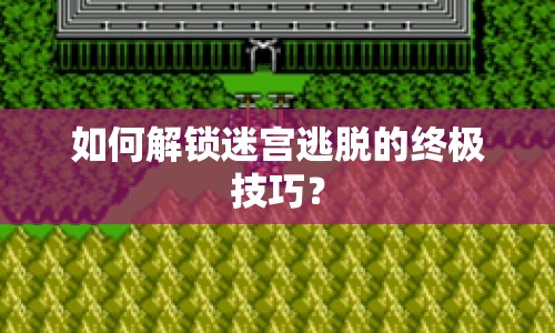 如何解鎖迷宮逃脫的終極技巧？