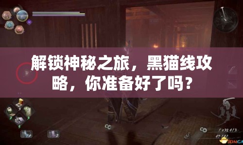 解鎖神秘之旅，黑貓線(xiàn)攻略，你準(zhǔn)備好了嗎？