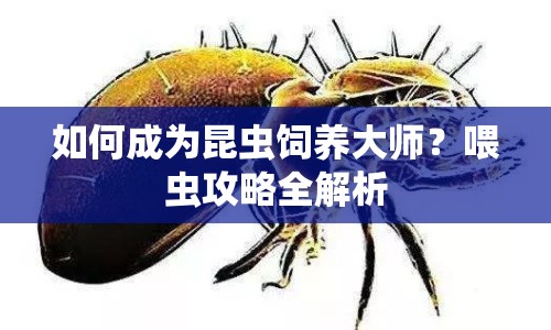 如何成為昆蟲飼養(yǎng)大師？喂蟲攻略全解析