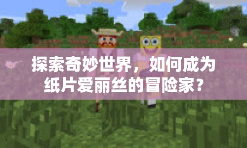 探索奇妙世界，如何成為紙片愛(ài)麗絲的冒險(xiǎn)家？