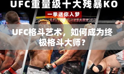 UFC格斗藝術，如何成為終極格斗大師？