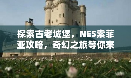 探索古老城堡，NES索菲亞攻略，奇幻之旅等你來體驗？