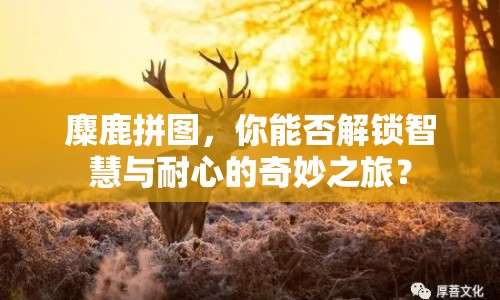 麋鹿拼圖，你能否解鎖智慧與耐心的奇妙之旅？