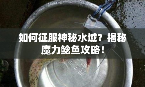 如何征服神秘水域？揭秘魔力鯰魚攻略！