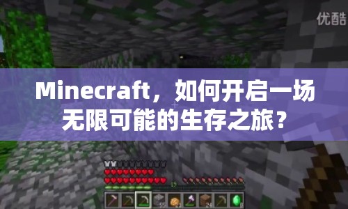 Minecraft，如何開啟一場無限可能的生存之旅？