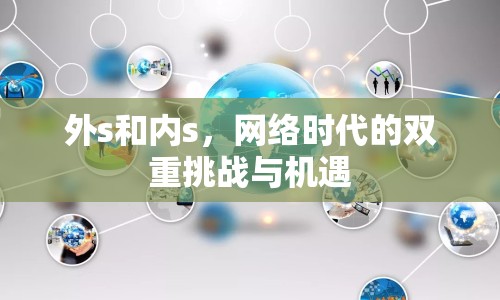 外s和內(nèi)s，網(wǎng)絡(luò)時代的雙重挑戰(zhàn)與機(jī)遇