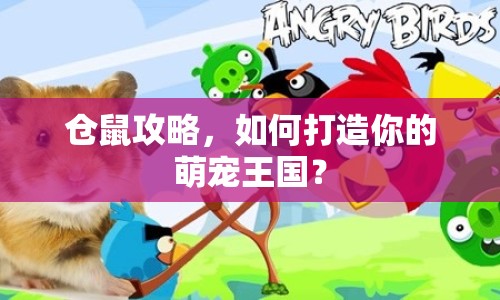 倉鼠攻略，如何打造你的萌寵王國？