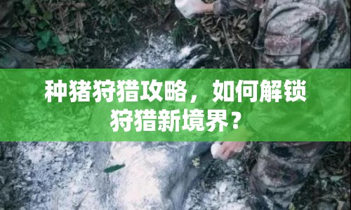 種豬狩獵攻略，如何解鎖狩獵新境界？