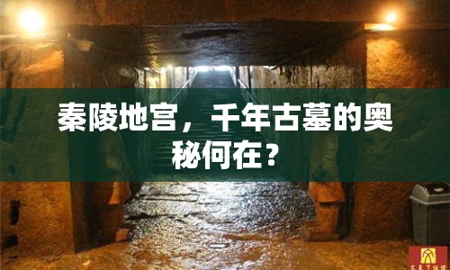 秦陵地宮，千年古墓的奧秘何在？
