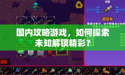 國內(nèi)攻略游戲，如何探索未知解鎖精彩？