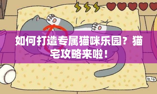 如何打造專(zhuān)屬貓咪樂(lè)園？貓宅攻略來(lái)啦！