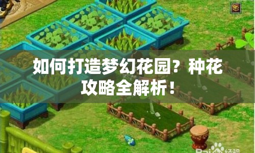 如何打造夢(mèng)幻花園？種花攻略全解析！