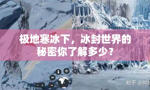 極地寒冰下，冰封世界的秘密你了解多少？