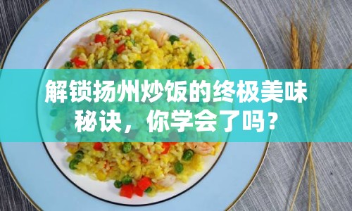 解鎖揚(yáng)州炒飯的終極美味秘訣，你學(xué)會(huì)了嗎？