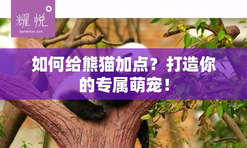 如何給熊貓加點(diǎn)？打造你的專(zhuān)屬萌寵！