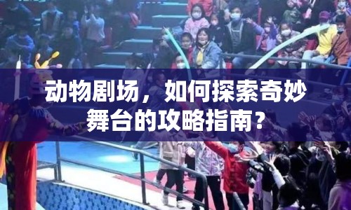 動物劇場，如何探索奇妙舞臺的攻略指南？