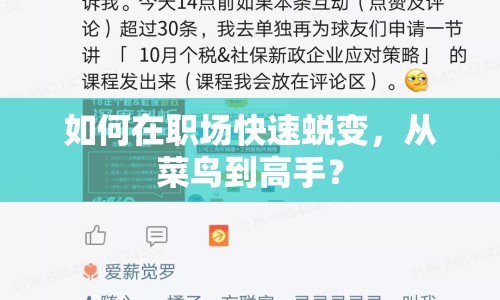 如何在職場快速蛻變，從菜鳥到高手？