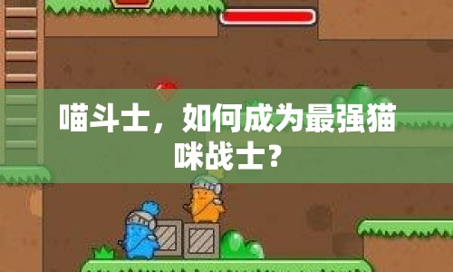 喵斗士，如何成為最強(qiáng)貓咪戰(zhàn)士？