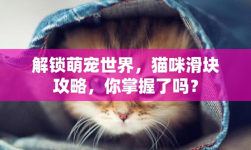 解鎖萌寵世界，貓咪滑塊攻略，你掌握了嗎？