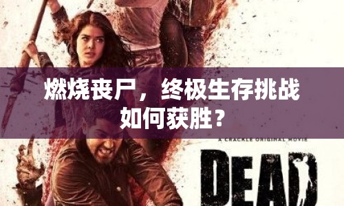 燃燒喪尸，終極生存挑戰(zhàn)如何獲勝？