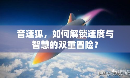 音速狐，如何解鎖速度與智慧的雙重冒險？