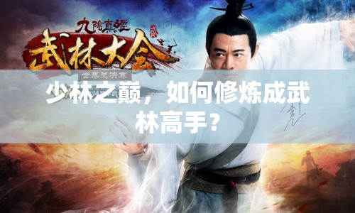 少林之巔，如何修煉成武林高手？