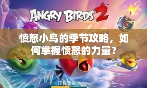 憤怒小鳥(niǎo)的季節(jié)攻略，如何掌握憤怒的力量？