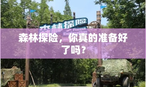 森林探險，你真的準備好了嗎？