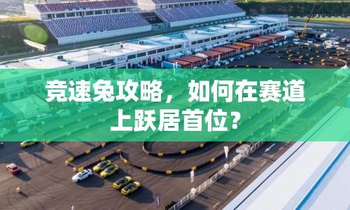 競速兔攻略，如何在賽道上躍居首位？