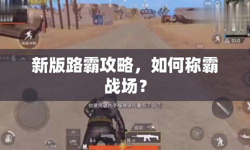 新版路霸攻略，如何稱霸戰(zhàn)場？