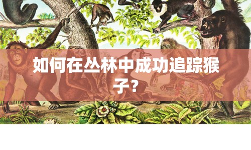 如何在叢林中成功追蹤猴子？