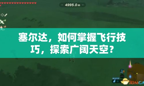 塞爾達(dá)，如何掌握飛行技巧，探索廣闊天空？