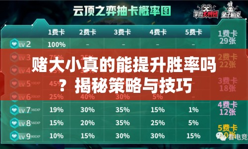 賭大小真的能提升勝率嗎？揭秘策略與技巧