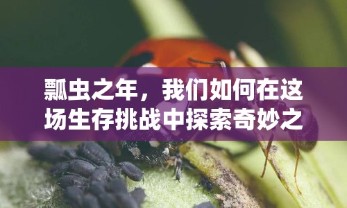 瓢蟲之年，我們?nèi)绾卧谶@場生存挑戰(zhàn)中探索奇妙之旅？
