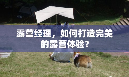 露營經(jīng)理，如何打造完美的露營體驗？