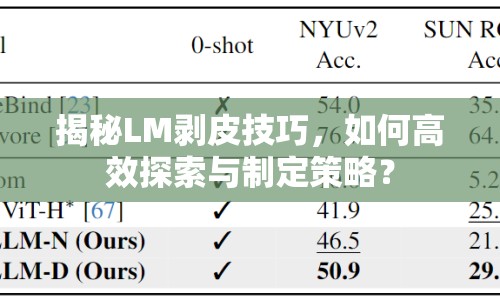 揭秘LM剝皮技巧，如何高效探索與制定策略？