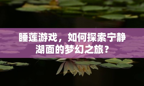 睡蓮游戲，如何探索寧靜湖面的夢幻之旅？