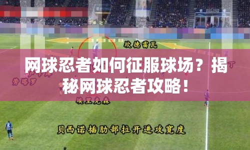 網(wǎng)球忍者如何征服球場？揭秘網(wǎng)球忍者攻略！