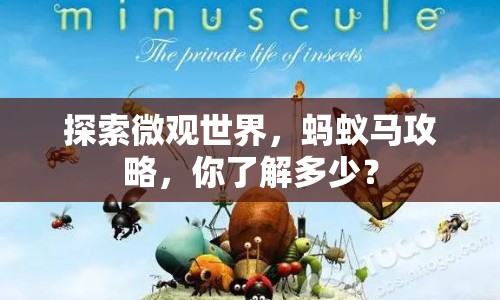 探索微觀世界，螞蟻馬攻略，你了解多少？