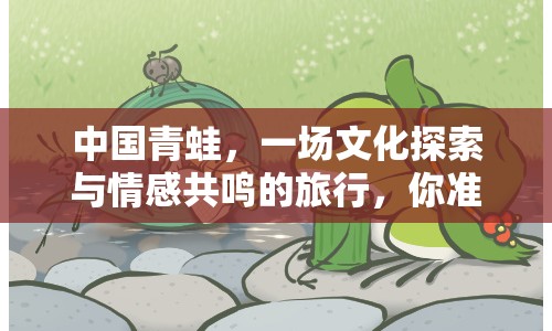 中國(guó)青蛙，一場(chǎng)文化探索與情感共鳴的旅行，你準(zhǔn)備好了嗎？