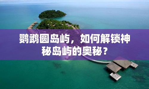 鸚鵡圓島嶼，如何解鎖神秘島嶼的奧秘？