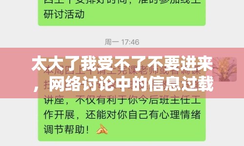 太大了我受不了不要進來，網(wǎng)絡討論中的信息過載與心理健康