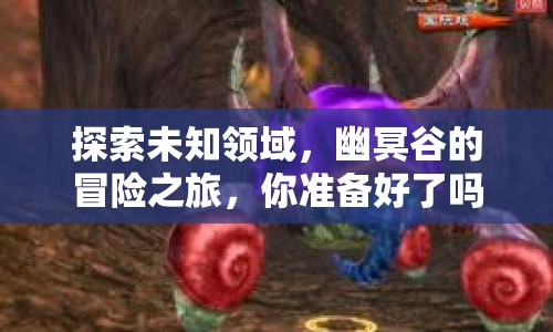 探索未知領(lǐng)域，幽冥谷的冒險(xiǎn)之旅，你準(zhǔn)備好了嗎？