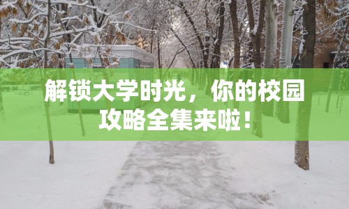 解鎖大學時光，你的校園攻略全集來啦！