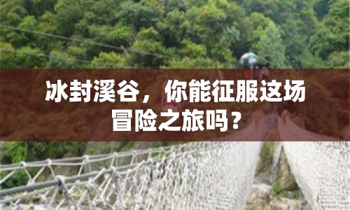 冰封溪谷，你能征服這場(chǎng)冒險(xiǎn)之旅嗎？