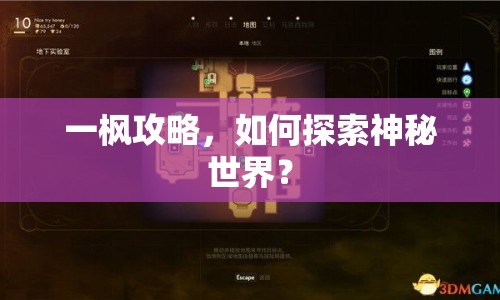 一楓攻略，如何探索神秘世界？