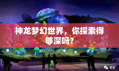 神龍夢幻世界，你探索得夠深嗎？