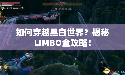 如何穿越黑白世界？揭秘LIMBO全攻略！