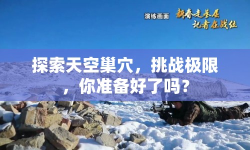 探索天空巢穴，挑戰(zhàn)極限，你準(zhǔn)備好了嗎？